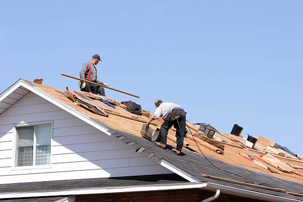 Best Cold Roofs  in Kemp Mill, MD